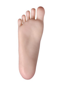 Normal Feet