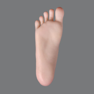 Normal Feet